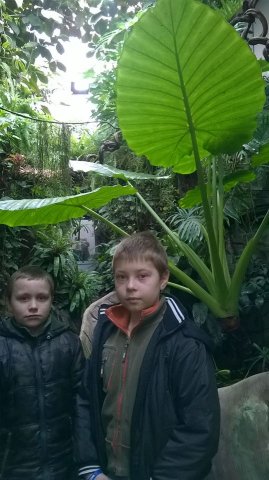 zoo 9